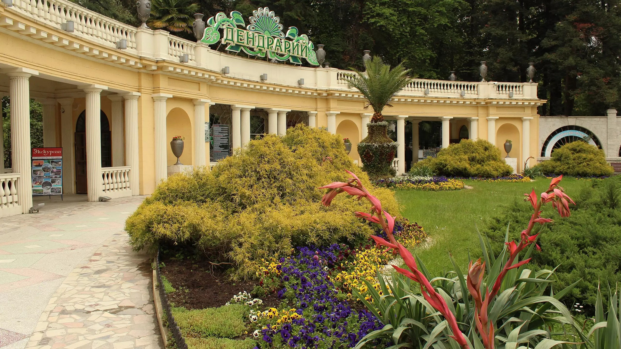 Сочинский дендрарий — это один из изумительных парков на берегу Черного моря, он появился в конце XIX века.