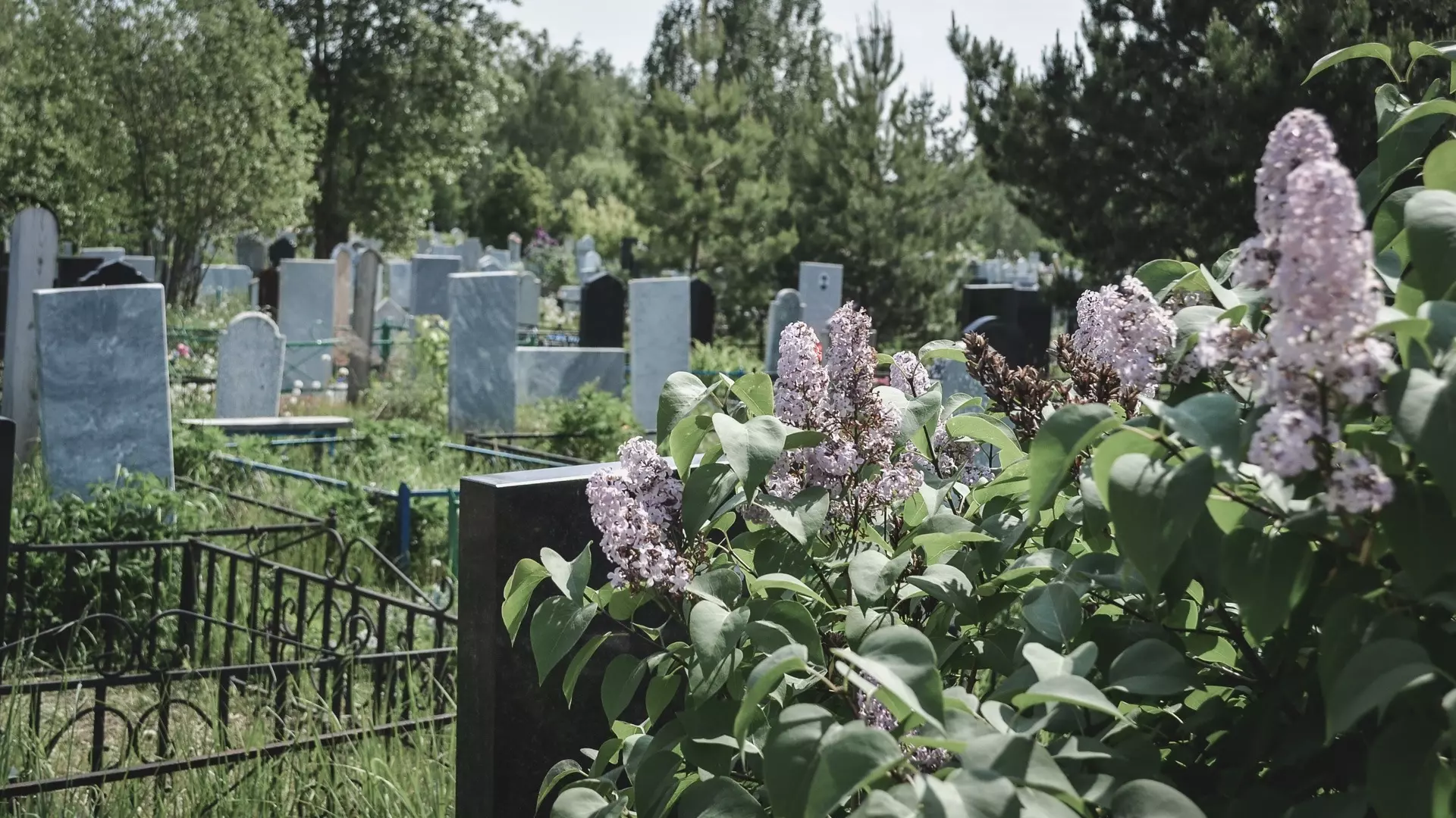 До Пасхи на кладбища Ставрополя будет не попасть